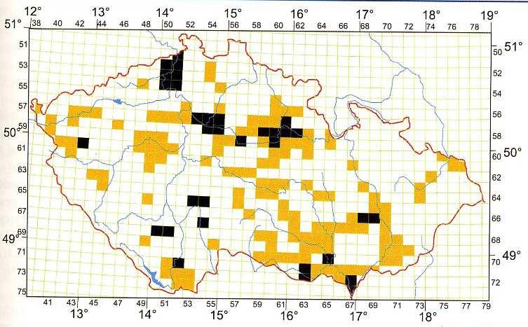 jelec jesen - Leuciscus idus 114 - O, ČS ohrožený (VU) vyšší a plošší než tloušť, menší (střední) ústa, řitní ploutev konvexní s načervenalou barvou do 40 cm, hejnový, potamodromní nutné migrace