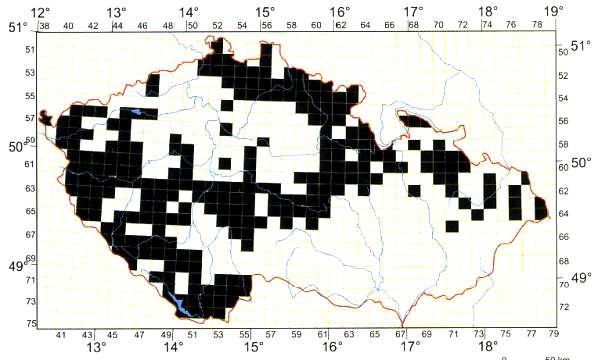 mihule potoční Lampetra planeri 114 - KO, ČS - ohrožený (EN), EU příl.