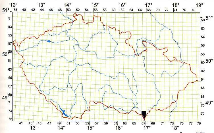 ostrucha křivočará - Pelecus cultratus 114 - SO, ČS - KO(CR), EU příl. II.V., Bern příl. III. do 60 cm (max. 15 let), rovný hřbet, svrchní ústa, rozšíření v úmoří Černého m.