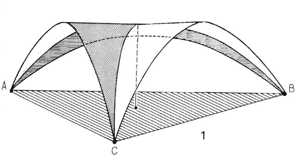 4 FUNKČNÍ ANATOMIE 4.1 Funkční anatomie nožní klenby Architektonika nožní klenby zahrnuje kosti, klouby, vazy a svaly, které dohromady tvoří jednotný systém.