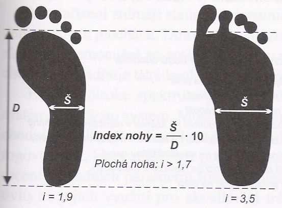 Obrázek č. 14