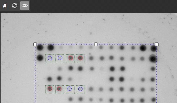 3. Aktivujte Auto Rotate Images ve složce Image Analysis. 12.3.2 Ruční otáčení obrázků (Manual image rotation) Obrázky lze otáčet i ručně na obrazovce Zobrazení fotografii testu View Array screen.