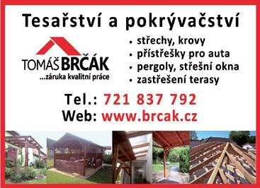 650,- bez DPH Jan Slavík tel: 725 935 531 Stále pokračuje.
