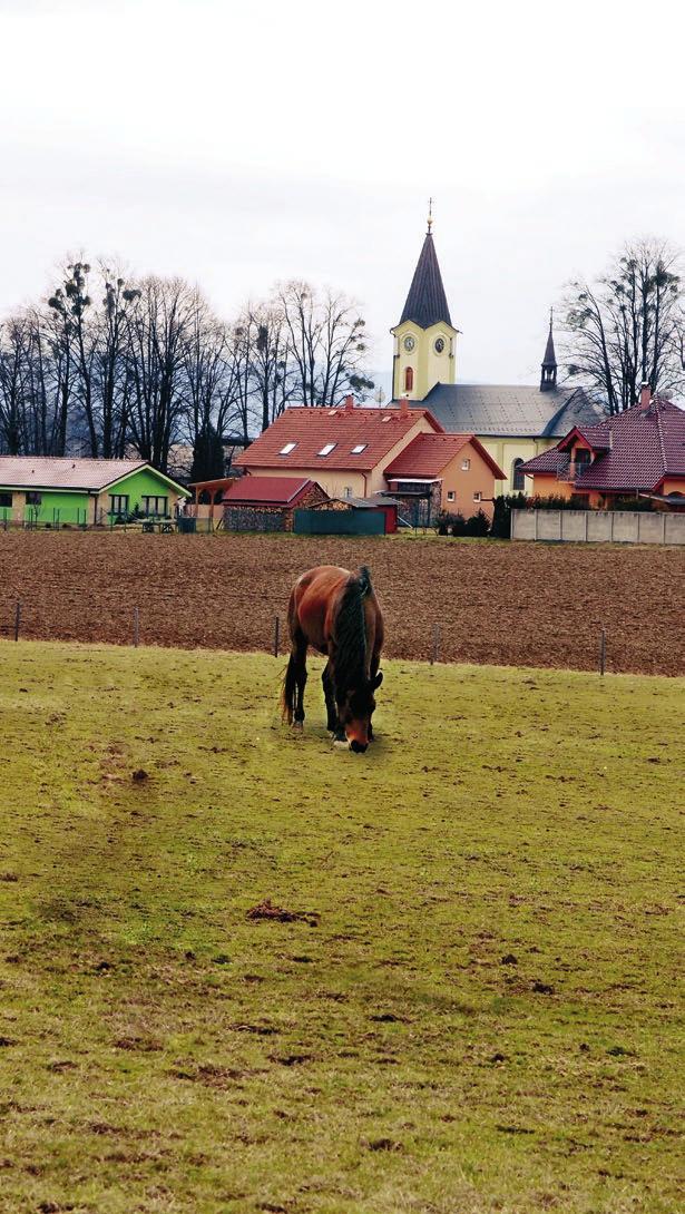 Zpravodaj obce Krmelín 1 2017 Dubnové