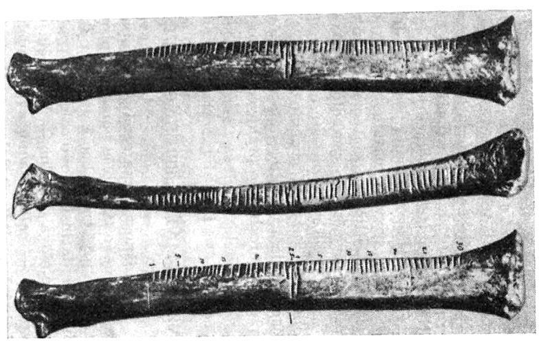 Jan Coufal, Julie Šmejkalová v Struikově přehledné práci (Struik, 1948) a v pozdější Vogelově knize (Vogel, 1958/1959) o počátcích matematiky, které vycházely z původních Absolonových sdělení.