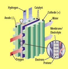 Fuel cell -