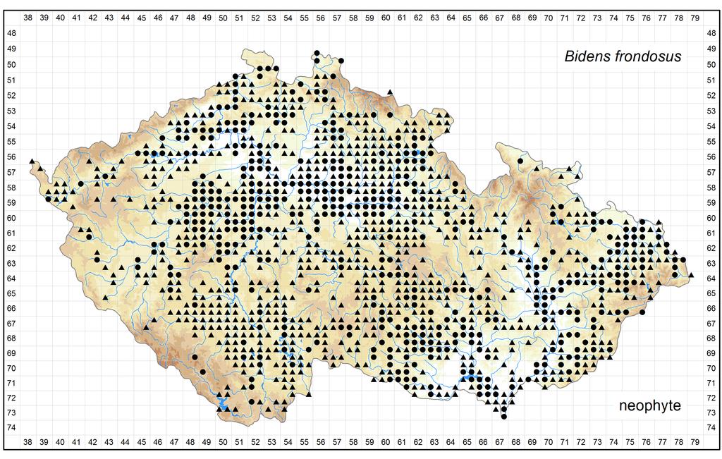 Distribution of Bidens frondosus in the Czech Republic Author of the map: Jitka Štěpánková Map produced on: 12-05-2016 Database records used for producing the distribution map of Bidens frondosus