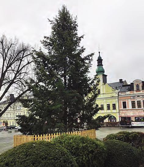 S ohledem na informace Městské policie Rychnov nad Kněžnou došla dopravní komise města k závěru, že zatím není prostor pro prodej druhých rezidentních karet.