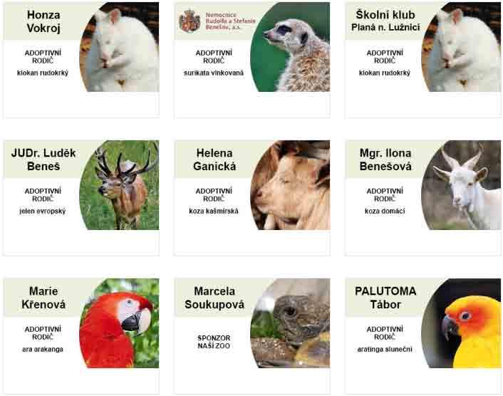 Nejen www.zootabor.eu Webové stránky zootabor.eu Webové stránky ZOO Tábor www.zootabor.eu jsou nejen zdrojem praktických informací pro všechny návštěvníky ZOO Tábor, ale jsou také výkladní skříní všech jejích aktivit.