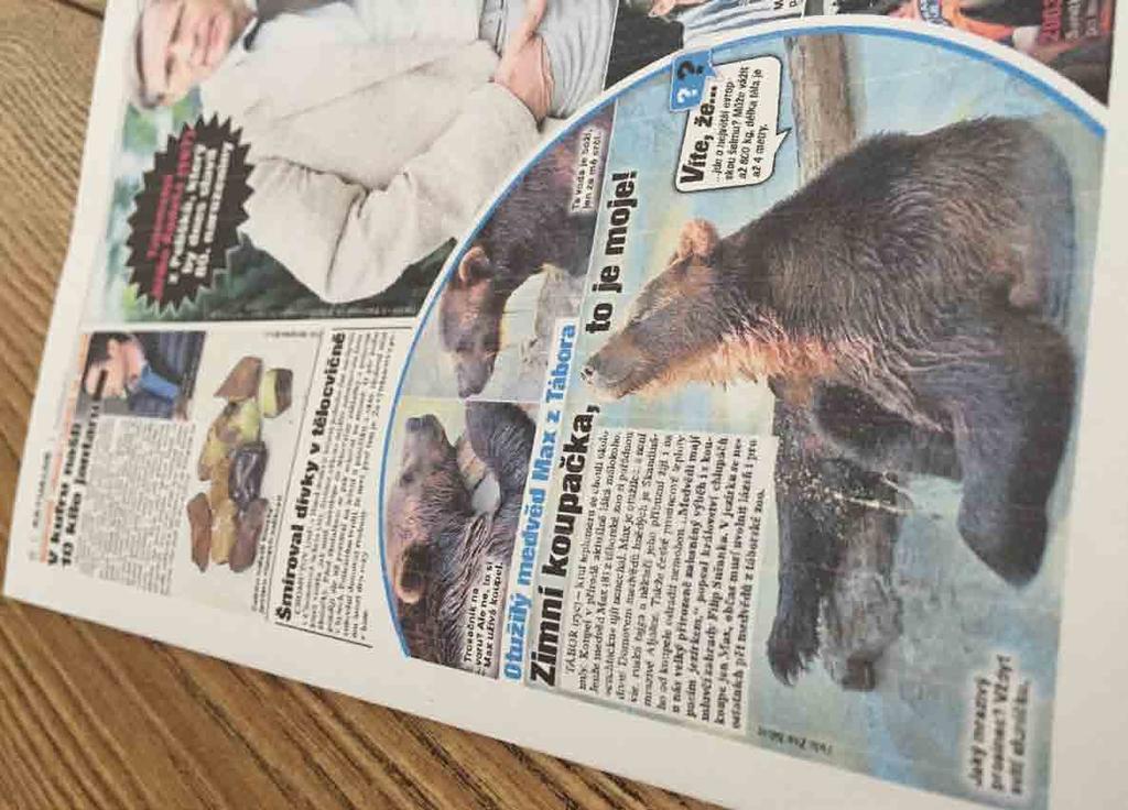 . V zoologické zahradě opakovaně natáčely české televizní stanice - Česká televize, Nova a Jihočeská televize pro TV Barrandov.