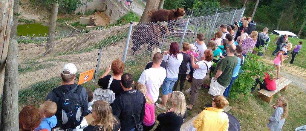 . června proběhl v táborské zoologické zahradě druhý ročník Noci snů.