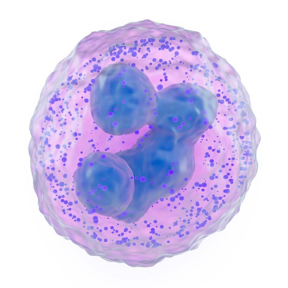 Síť ERN pro hematologická onemocnění (EuroBloodNet) 16 Mezi hematologická onemocnění patří abnormality krve a buněk kostní dřeně, lymfoidních orgánů a koagulačních faktorů a prakticky všechny jsou