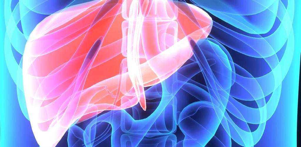 Síť ERN pro hepatologická onemocnění (ERN RARE-LIVER) Vzácná onemocnění jater mohou působit progresivní onemocnění jater vedoucí k fibróze a cirhóze.