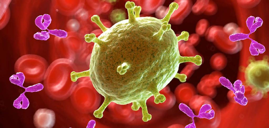 Síť ERN pro imunodeficienci, autoinflamatorní a autoimunitní onemocnění (ERN RITA) 32 Síť RITA spojuje přední evropská střediska s odbornými znalostmi ve stanovování diagnóz a léčby vzácných
