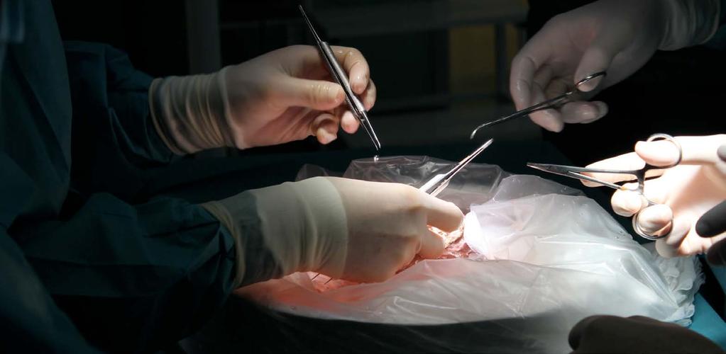 Síť ERN pro transplantace u dětí (ERN TRANSPLANT-CHILD) Pediatrická transplantace (PT) jak solidních orgánů, tak hematopoetických kmenových buněk je u několika vzácných onemocnění jediným léčebným