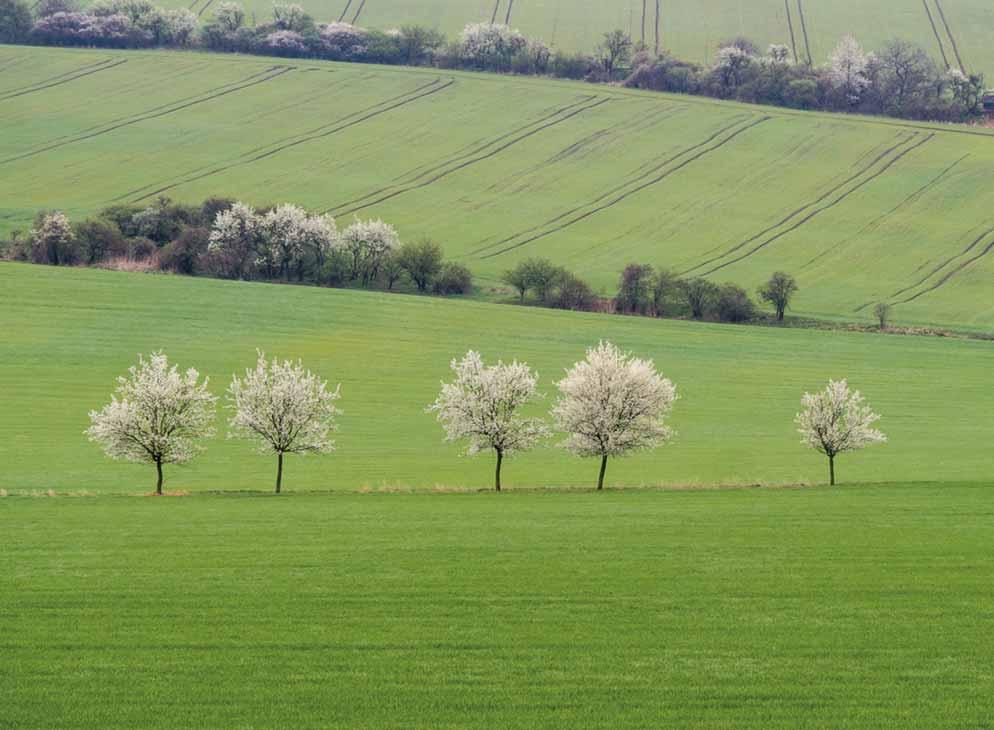 Úvodní