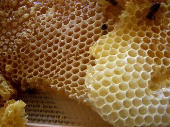 Včelí vosk Lanolin