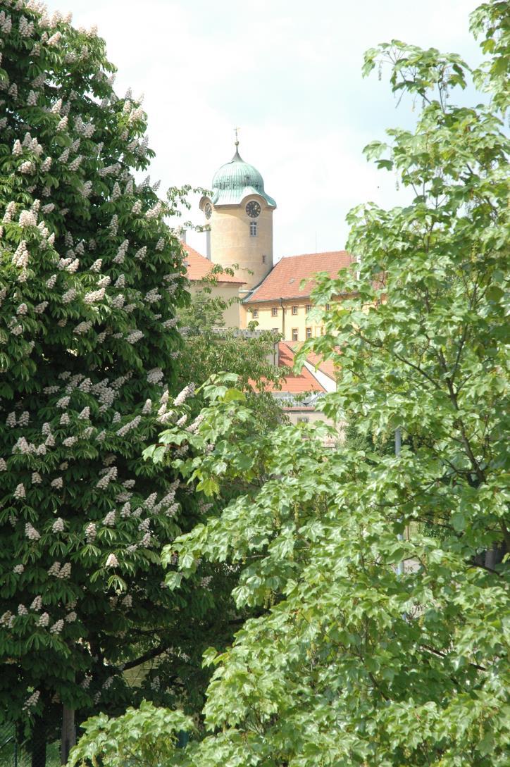 Sdružení pracovníků dezinfekce, dezinsekce, deratizace ČR, z. s.
