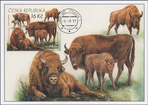 parník Praha ZOO Chomutov: zubr evropský 8. 3.