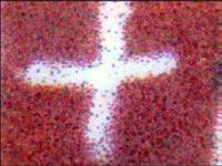 plnobarevný ofset; TF: 4 PL o 50