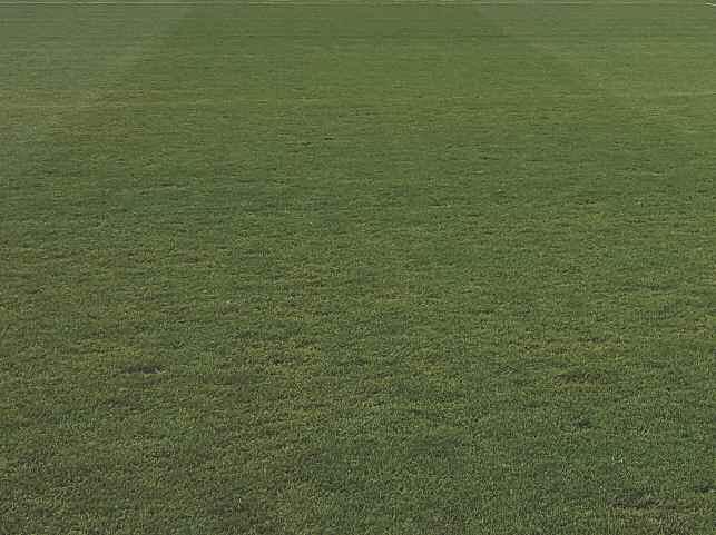 hřišti byla v roce 201