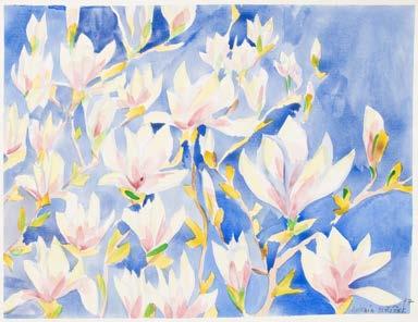 089 Antonín Střížek Magnolie 2017, akvarel