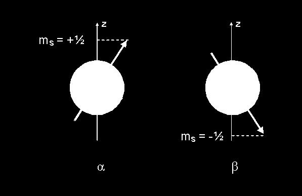 Spinové kvantové číslo (m s ) nabývá hodnot ±1/2 popisuje vnitřní moment rotace