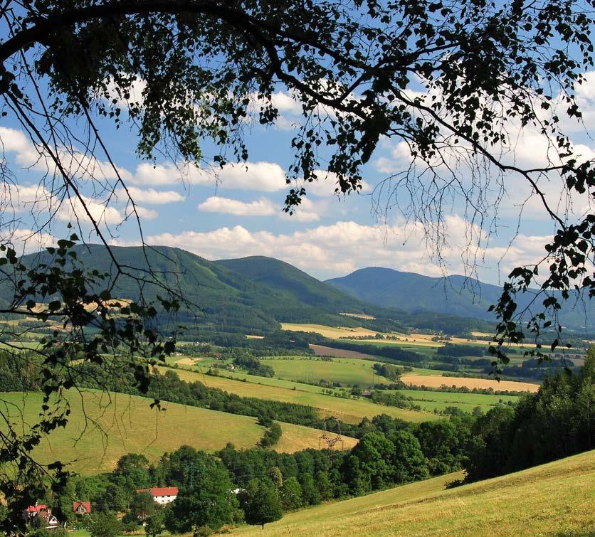 obec ochotna uzavřít smlouvu, nebo podmínky pro podávání nabídek či vyjádření.