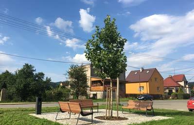 Skoro u konce je i výběr zhotovitele na dostavbu chodníku v lokalitě Tomis a také kolem hospody u Myšáka. Pokud se vše podaří, hotovo by mohlo být ještě letos.