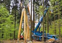 Na podzim roku 2016 dřevaři v lese u Hoffmanovy boudy pokáceli 28 stromů, a tak mohla do lesa těžká technika.