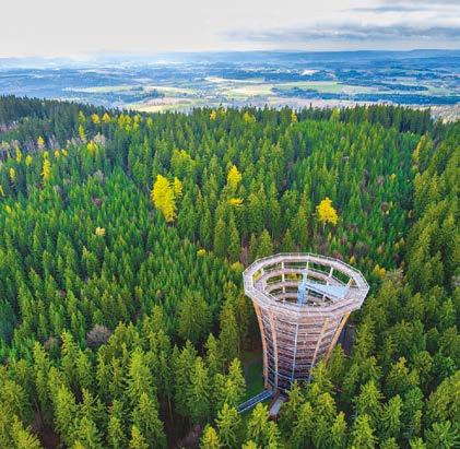 BOX Věž Stezky je vysoká 42,7 metrů. Konstrukci nese 12 prohnutých sloupů, které dávají věži tvar květu hořce, vlajkové rostliny Krkonošského národního parku.