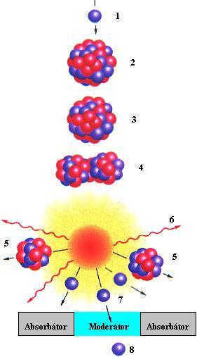 Průběh reakce je možné sledovat na obrázku. Pomalý neutron (1) reaguje s jádrem uranu 235 92U (2), které neutron přijme a vznikne nestabilní nuklid 236 92U (3).