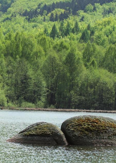 LESY & MYSLIVOST V LIBERECKÉM KRAJI Plnění produkčních funkcí lesa KŘ Liberec v rámci své územní působnosti zabezpečuje zejména realizaci regionální lesnické politiky LČR.