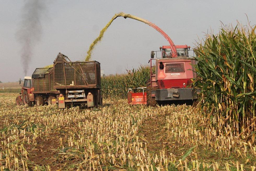 rostlin určených pro výrobu bioplynu METODIKA