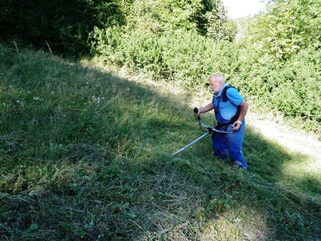 výrazně vnímaná, úspěchem bude až nás tam nebude zapotřebí a budou vybudovány trvalé zábrany pro obojživelníky.