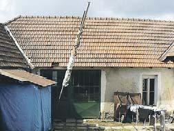 stromy, cca 400 hlav Cena 650 000,- Kč RD 5+2 v Ostrově u