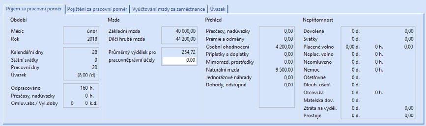 224 13 Mzdy 13 / 10 Mzdy Leden Prosinec Příjem za pracovní poměr Formulář obsahuje oddíly Období, Mzda, Přehled a Nepřítomnost.