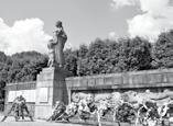 C + E, na valník s prívesom na denné prevozy MA - MA a MA - Pandorf (Rakúsko). Nástup možný ihneď - víkendy voľné. Mzda: 0 / deň. Tel.: 00 0, 0 0 Harmer Agro spol. s r. o.