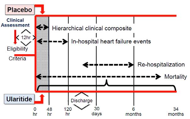O V É n o v i n y Studie TRUE-AHF (TRial of Ularitide s Efficacy and safety in patients with Acute Heart Failure) doc. MUDr