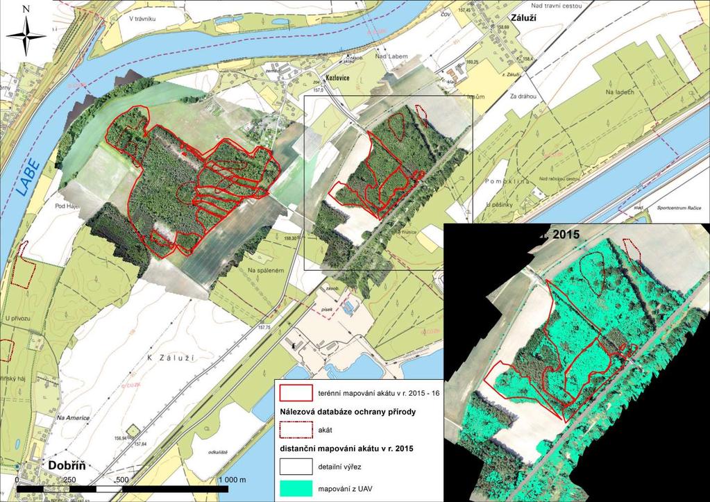 Mapa 5 Mapa výskytu invazního trnovníku akátu na lokalitě Kozlovice Distanční data dálkového průzkumu r. 2015 bezpilotní snímek (UAV) pořízený 6.