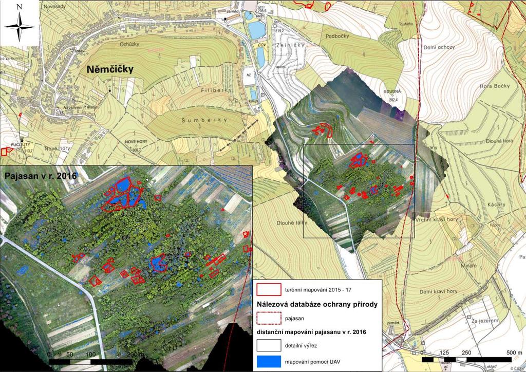 Mapa 7 Mapa výskytu invazního pajasanu žláznatého na lokalitě Němčičky - Kraví Hora Distanční data dálkového průzkumu r. 2016 bezpilotní snímek (UAV) pořízený 19. 5.