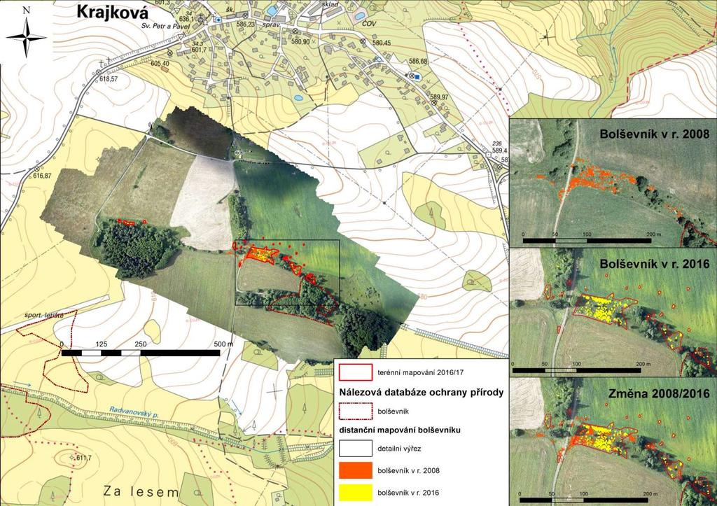 Mapa 3 Mapa výskytu invazního bolševníku velkolepého na lokalitě Krajková - Anenská Ves Distanční data dálkového průzkumu r. 2008 ortofoto ČÚZK z 8. 7. 2008 r. 2016 bezpilotní snímek (UAV) pořízený 9.