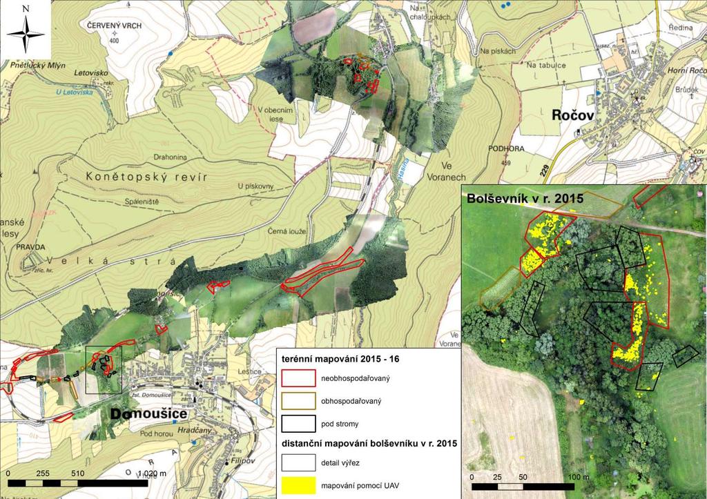 Mapa 4 Mapa výskytu invazního bolševníku velkolepého na lokalitě Domoušice Distanční data dálkového průzkumu r. 2015 bezpilotní snímek (UAV) pořízený 15. 7.