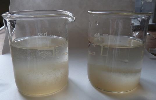 Metodiky laboratorních kinetických batch testů pro popis - Mamais 1993-100 ml OV