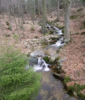 Neexistuje stratifikace, výměna s atmosférou. Anaerobní (!) habitaty (slepá ramena apod.) nejsou součástí transportu.