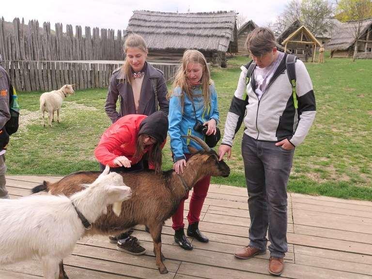 Ve středu 29. března se ve škole konal 3. ročník soutěže v luštění německých křížovek. Soutěž je určená pro žáky tercie a kvarty a připravila ji prof. Kotenová. Soutěže se účastnilo 17 žáků.