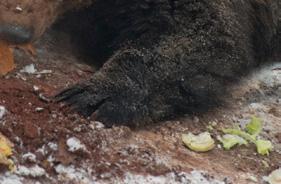 kultura 12 PŘeDNáŠKA ZAVeDe NA OPUŠtĚNá I tajemná MÍStA Opuštěná místa nejen na severu Čech budou tématem přednášky, při které se návštěvníci knihovny dozví, co je urbex a co je jeho smyslem.