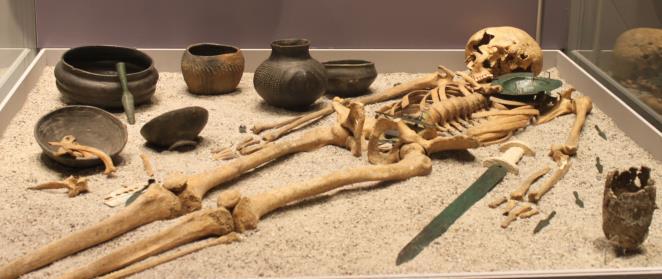 Pracovní list - Západočeské muzeum v Plzni 1) V osmisměrce se ti schovalo několik slov, najdi