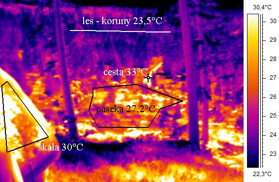 Stromy mají jedinečnou termoregulační funkci, která spočívá v transpiraci vypařování vody, kterým dochází k ochlazování stromu a současně ke zvlhčování okolního vzduchu.