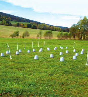 Rozmanitost života a zdraví ekosystémů 12 Oxid uhličitý Pokud uvažujeme samotnou půdu, je většinou čistým (netto) zdrojem atmosférického oxidu uhličitého (CO 2 ), jelikož, jak všichni dobře víme,